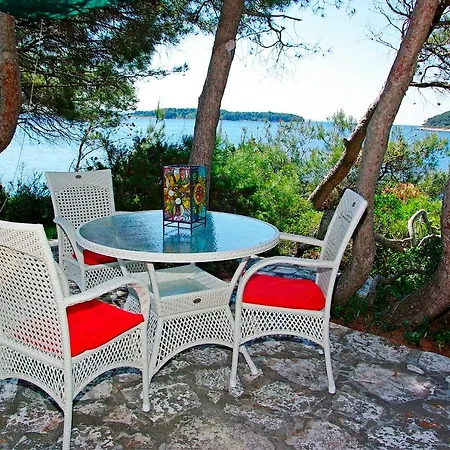Waterfront With Pool Villa Vela Luka