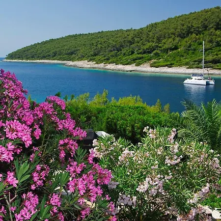 Waterfront With Pool فيلة *