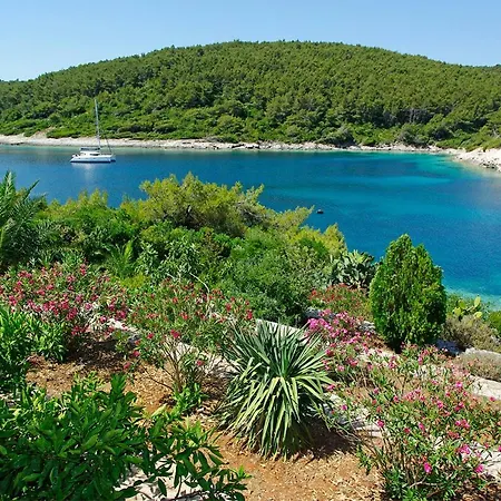 Waterfront With Pool Vela Luka