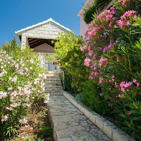 Villa Waterfront With Pool Vela Luka
